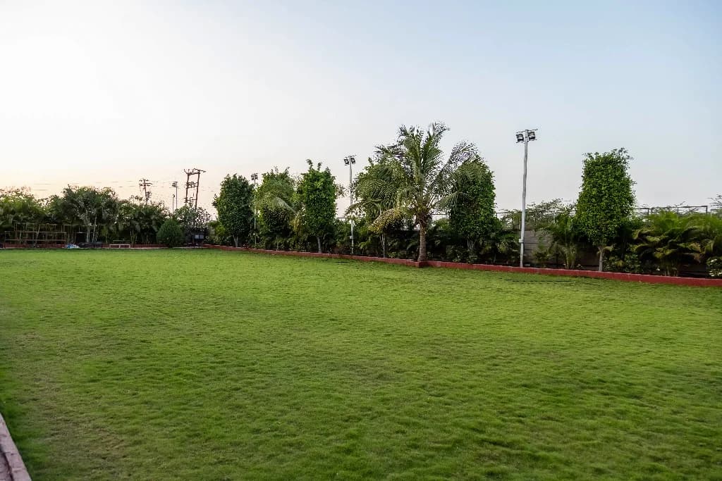 Cricket Tournament